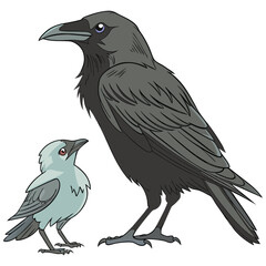 Fototapeta premium Illustration of a large black raven standing next to a small light green bird