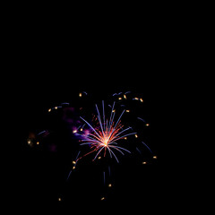 Obraz premium British Firework Championships