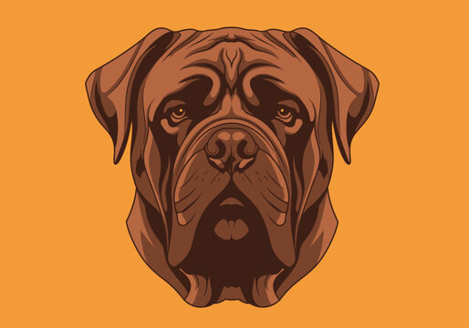 Dogue de Bordeaux Portrait Illustration - Stylized French Mastiff Dog Face Vector Art on Orange Background for Mascot, Logo, or Apparel Design