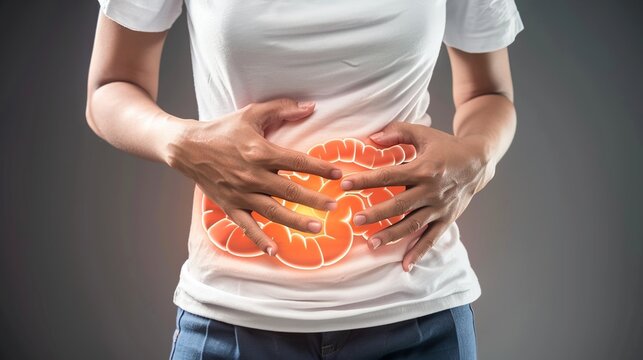 Crohn&rsquo;s Disease Medical Illustration, Chronic Inflammatory Bowel Disease Affecting Digestive Tract with Thickened Bowel Wall, Ulcers and Abdominal Discomfort, Detailed Gastrointestinal Visual