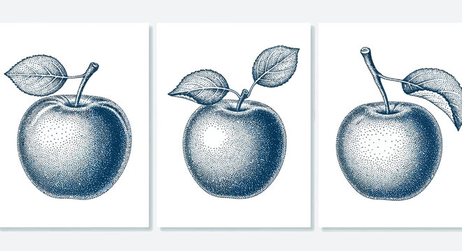 Three Stippled Apples with Leaves on White Background