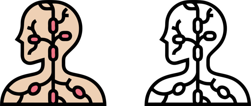 Human lymphatic system lymph node vector illustration