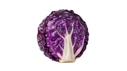 Fototapeta premium Purple cabbage with a white stem and a tree on it. The cabbage is the main focus of the image
