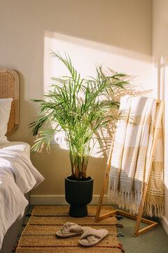 Cozy bedroom with natural elements and simple decor in a hotel room setting