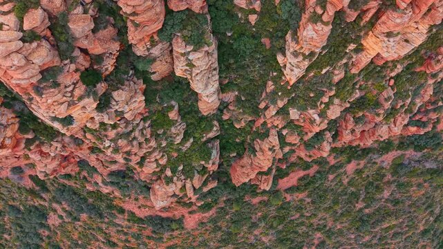 Aerial top view of red sandstone rock formations with green vegetation. Top down drone shot of vertical red cliffs and green Mediterranean shrubs in a Spanish canyon.
