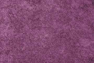 Fototapeta premium High-resolution grass texture series with light, medium, and dark color variations for creative garden backgrounds and organic patterns