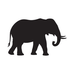Fototapeta premium A striking black silhouette of an elephant walking with its trunk down