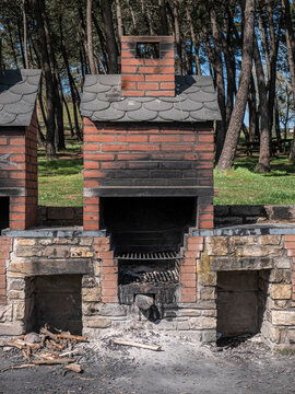 Front view of an outdoor barbecue with obvious signs of use due to the black color caused by fire on the bricks and ash on the ground, located dangerously close to tall pine trees 