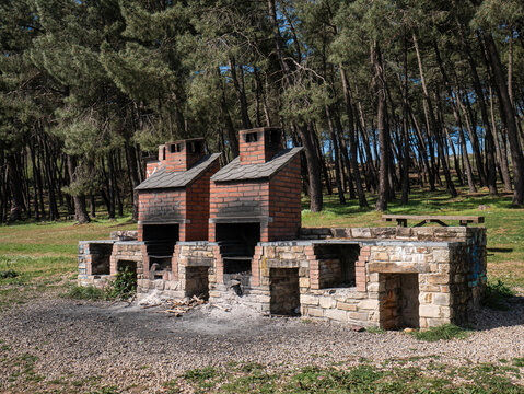 Construction made of bricks for outdoor barbecues with evident signs of use due to the black color caused by fire in the bricks, located dangerously close to tall pine trees (pinus)