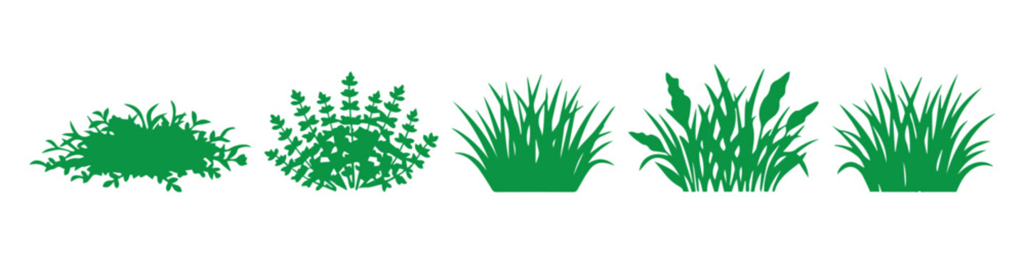 Grass and ground texture silhouettes vector set, natural plant clusters, soil patches and foliage elements, black detailed shapes for landscaping, garden design and environment graphics.  grass set.