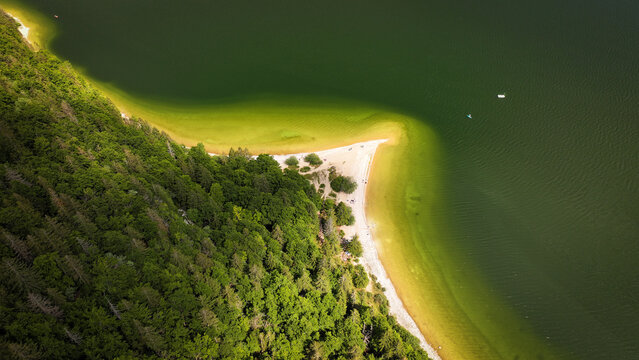 Aerial view of the dark lake water meeting the light sandy shore, contrasting with the lush green forest, Le Lieu, Vaud, Switzerland.