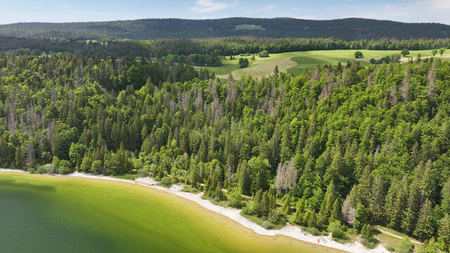 Aerial view of the tranquil Lac de Joux's shoreline fringed by emerald forests meeting the verdant pastures under a vast sky, Le Lieu, Vaud, Switzerland.