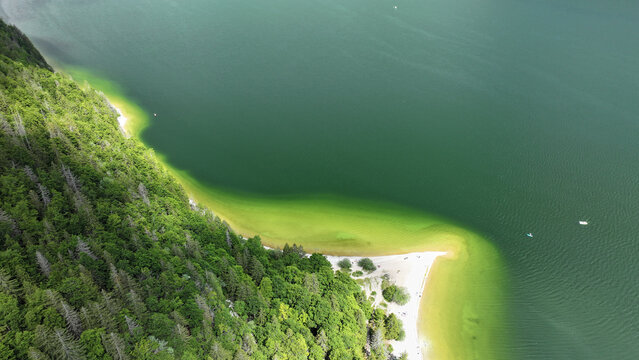 Aerial view of the contrasting deep green waters meeting the light sandy shores, framed by the lush forest, Le Lieu, Vaud, Switzerland.