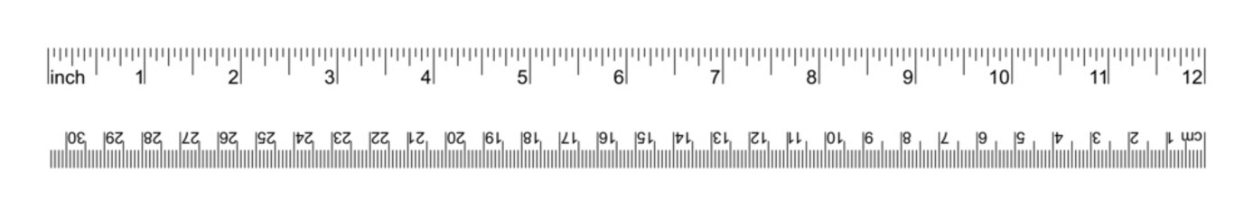 12 Inch and 30 Centimeter dual scale ruler