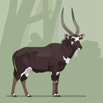 vector illustration of Saola