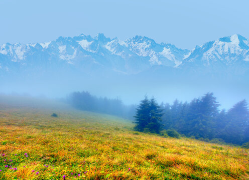 Panoramic view of Savsat highlands on a beautiful autumn day - Scenic image of forest landscape at sunny day - Autumn colorful landscape with colorful tree - Savsat, Artvin