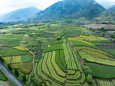Aerial view of terraced tea plantations in Pu'er Yunnan with lush green hills and distant mountains