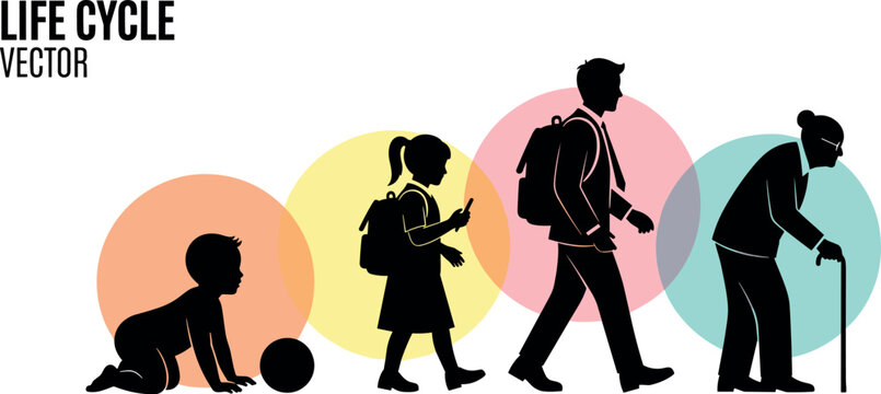 A vector illustration depicts the life cycle of humans from infancy to old age with silhouettes.