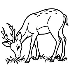 Fototapeta premium Deer eating grass line art style-in on white background. 