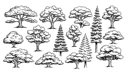 Detailed tree silhouette vector set with deciduous and coniferous canopy shapes for landscape architecture and park design © SHAHADAT
