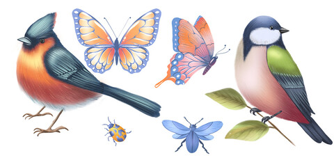 Set of watercolor birds, butterflies and insects, colorful hand painted nature clipart isolated on light background. © Marina Morenova