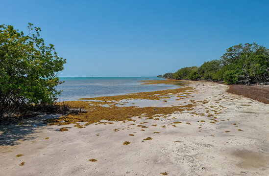 Anne's Beach Islamorada, Florida Keys