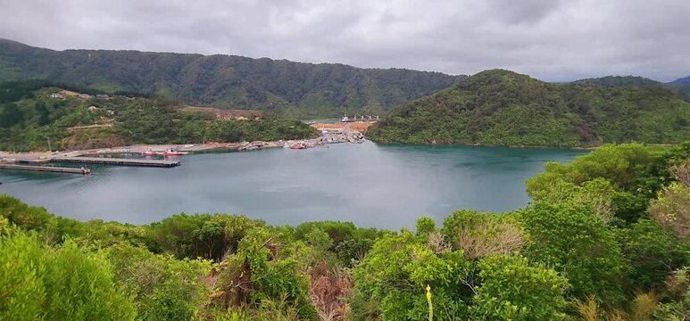 Scenic Harbour with Boats and Forested Hills in Marlborough Region. A coastal scene near Blenheim, New Zealand, showing boats moored along harbour piers surrounded by lush green hills. 