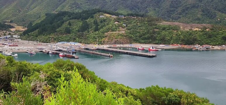Harbour Piers, Boats and Forested Hills in the Marlborough Region. A harbour scene near Blenheim, New Zealand, showing multiple boats moored along concrete piers surrounded by steep, forested hills. 