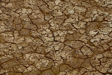 Naklejka premium Textura de tierra seca y cuarteada en tonos marrones, ideal como fondo natural sobre sequía y aridez
