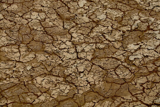 Textura de tierra seca y cuarteada en tonos marrones, ideal como fondo natural sobre sequ&iacute;a y aridez