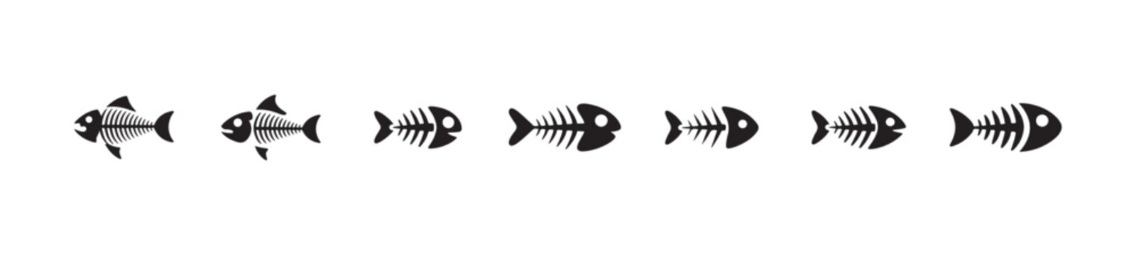 Assorted fish bone skeleton vector collection of skeletal remains for marine biology and food logo