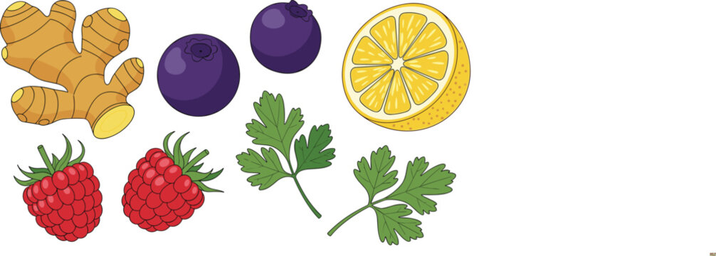 Hand Drawn Superfood Ingredient Set with Ginger Root, Blueberries, Raspberries, Lemon Slice, and Fresh Parsley Leaves, Isolated Vector Illustration