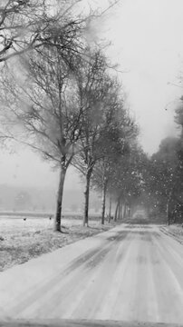 Driving on a snowy road bordered by a row of leafless trees on a winter day. The scene is monochromatic with the ground and branches covered in snow with gentle snowfall. 