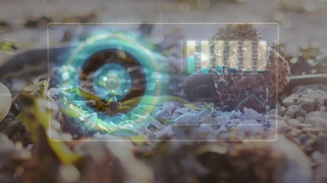 Vertical video: HUD scanning barnacle stem while sensor detecting object, visualizing radial data