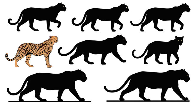 Set of Black Panther Silhouettes and One Spotted Cheetah