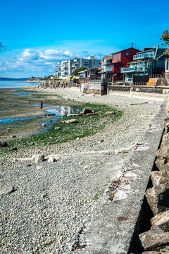 Seabed Shoreline Landscape 4