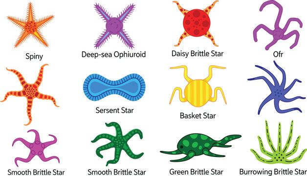 Meteorology and Weather Forecasting Equipment Set with Thermometer, Anemometer, and Weather Icons