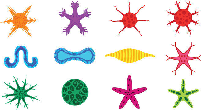 Radiolarian and microscopic marine organism colorful invertebrate aquatic wildlife flat icon set