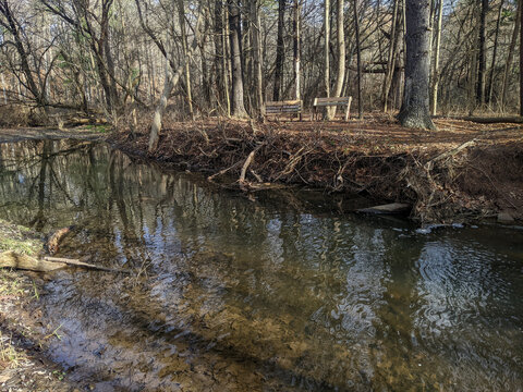 Two benches sit on the edge of a forested creek with sprawling roots and flowing water during a sunny fall day.