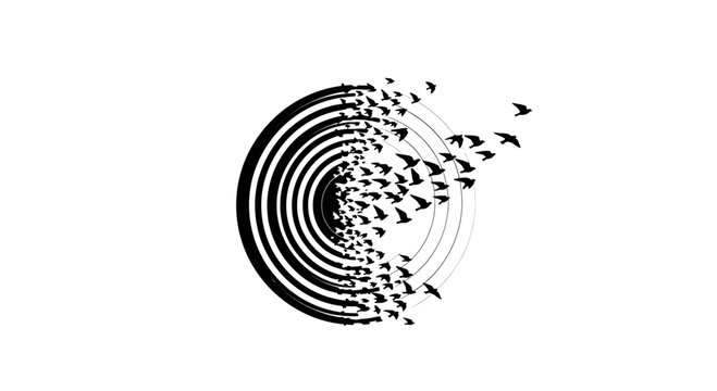Flock of birds escaping circular pattern.