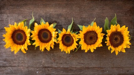 Obraz premium sunflowers. Sunflowers arranged on a rustic wooden surface, vibrant yellow petals with dark centers in soft light. event programs. 