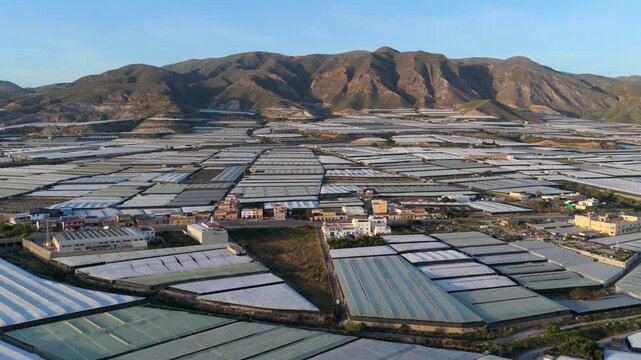 Greenhouses (Sea of Plastic) in Almeria / El Ejido (Spain). Aerial view of agriculture under plastic
