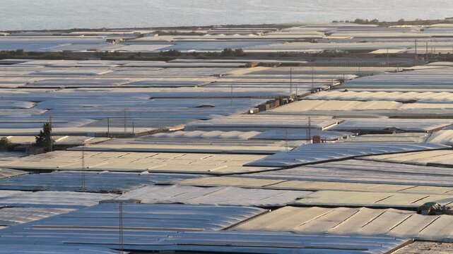 Greenhouses (Sea of Plastic) in Almeria / El Ejido (Spain). Aerial view of agriculture under plastic