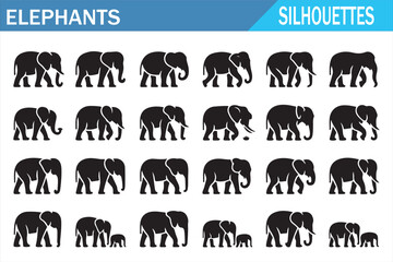Obraz premium elephant-silhouettes