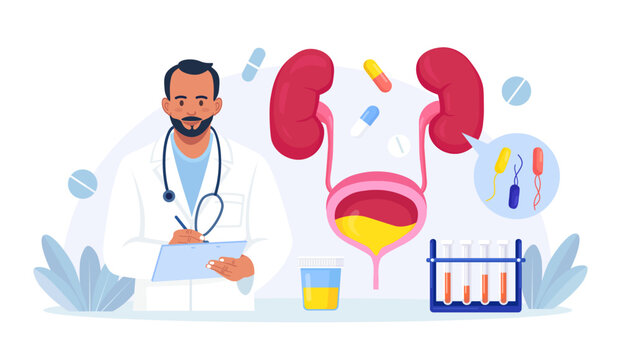 Urinary Tract Infections, Cystitis. Diagnosis, Treatment of Bladder Diseases, Inflammation, Urine Analysis. Doctor Researching Urethritis, Genital Infection. Vector Flat Illustration