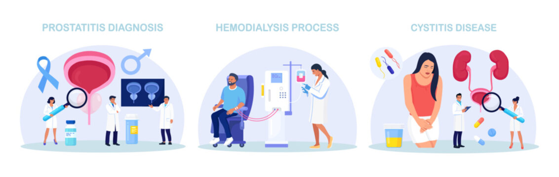 Urinary Tract Infections. Doctor Conducting Hemodialysis and Kidney Transplant. Kidneys Disease Treatment. Nephrology, Urology. Diagnosis of Pyelonephritis, Kidney Stones, Renal Failure, Cystitis