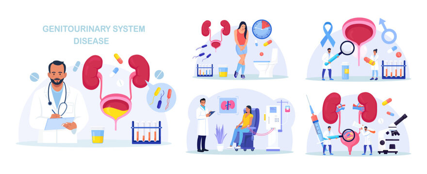 Urinary Tract Infections. Doctor Conducting Hemodialysis and Kidney Transplant. Kidneys Disease Treatment. Nephrology, Urology. Diagnosis of Pyelonephritis, Kidney Stones, Renal Failure, Cystitis