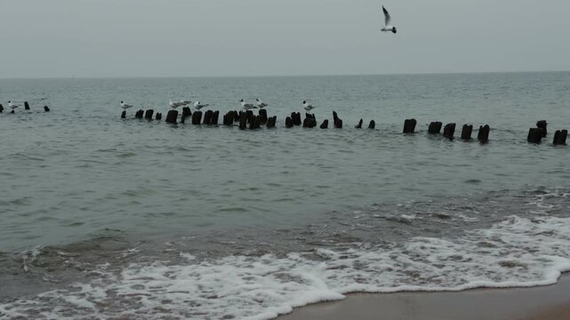 Wooden groynes and large rocks on the seashore. Coastal landscape with rough waves hitting barrier structures. Minimalist marine scenery for nature background.