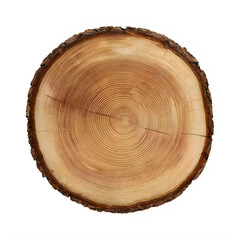 Fototapeta premium Tree trunk cross section cut annual rings visible wooden slice transparent background