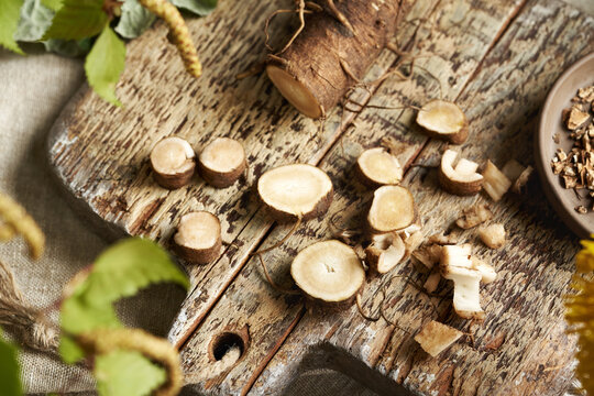 Chopped burdock root - preparation of herbal tincture